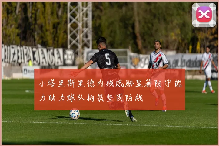 小塔里斯里德内线威胁显著防守能力助力球队构筑坚固防线