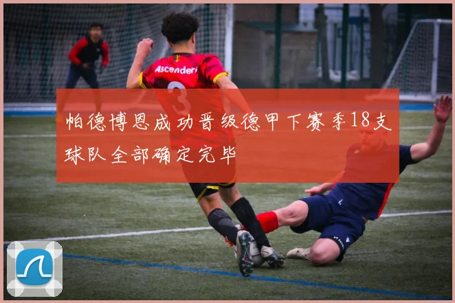 帕德博恩成功晋级德甲下赛季18支球队全部确定完毕