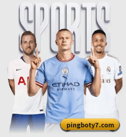 平博体育 APP（PinnacleSports）